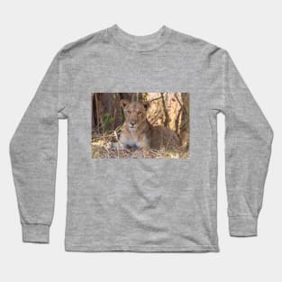 Lioness in the shade Long Sleeve T-Shirt